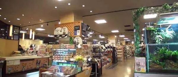 宠物店有选址要求吗_选址宠物店要求有哪些_宠物店铺选址及依据