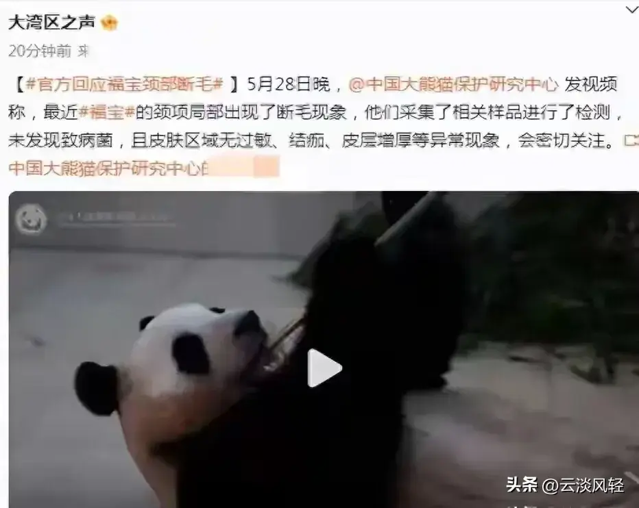 恢复中国在联合国的权益_中国归国者联络会_中国归还者联络会