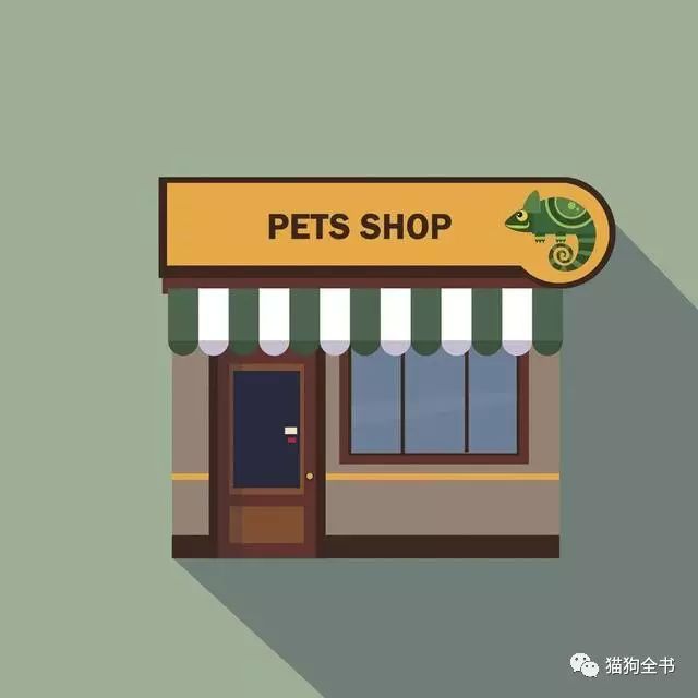 加盟宠物店需要多少钱_宠物加盟钱店需要什么资质_宠物加盟钱店需要什么条件