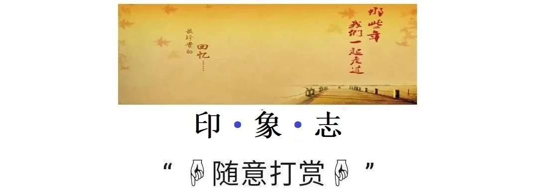 中日邦交正常化是几几年_中日邦交正常化40周年活动_中日邦交正常化飞机