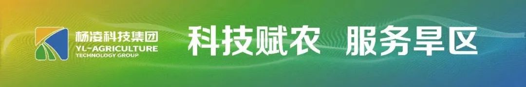 评价员工表现新工作怎么写_评价员工工作表现总结_评价新员工工作表现