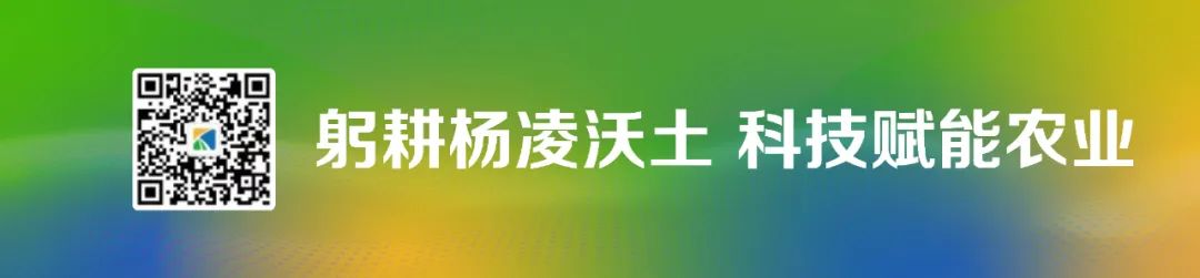 评价员工表现新工作怎么写_评价新员工工作表现_评价员工工作表现总结