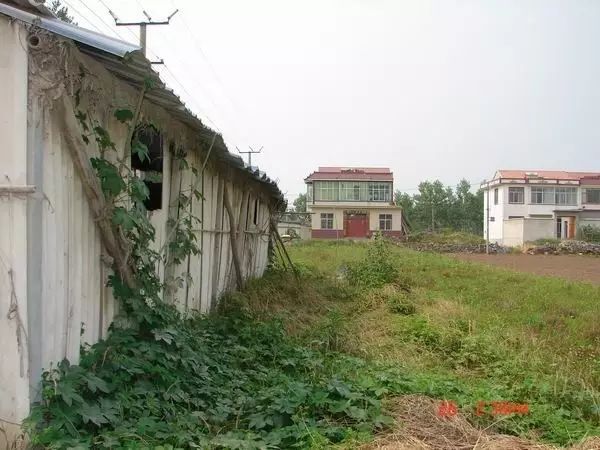 国家建设征地能够安置宅基地_区政府有权征收宅基地吗_县政府有没有权利征用宅基地